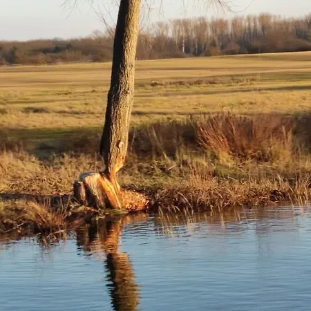 An Der Elbe Bleckede