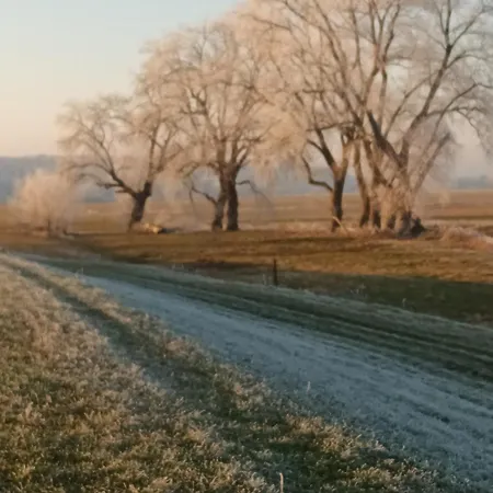 An Der Elbe Apartment Bleckede