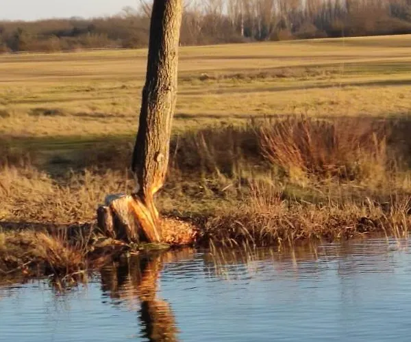 An Der Elbe بليكيد